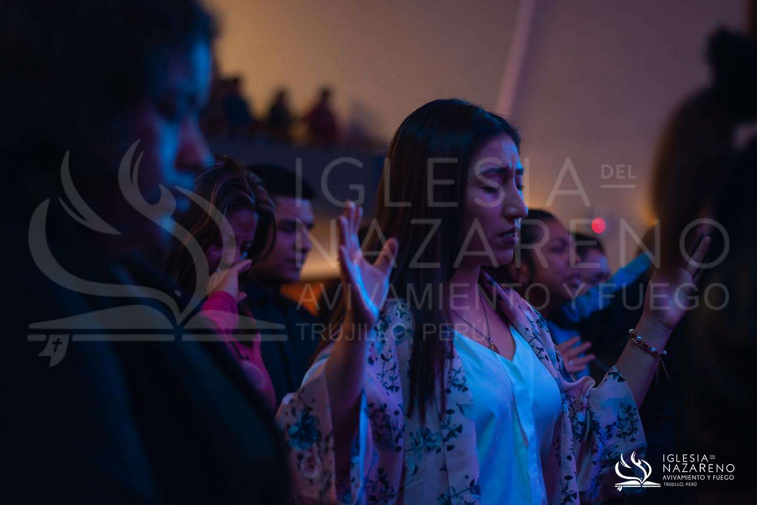 Noche de Milagros