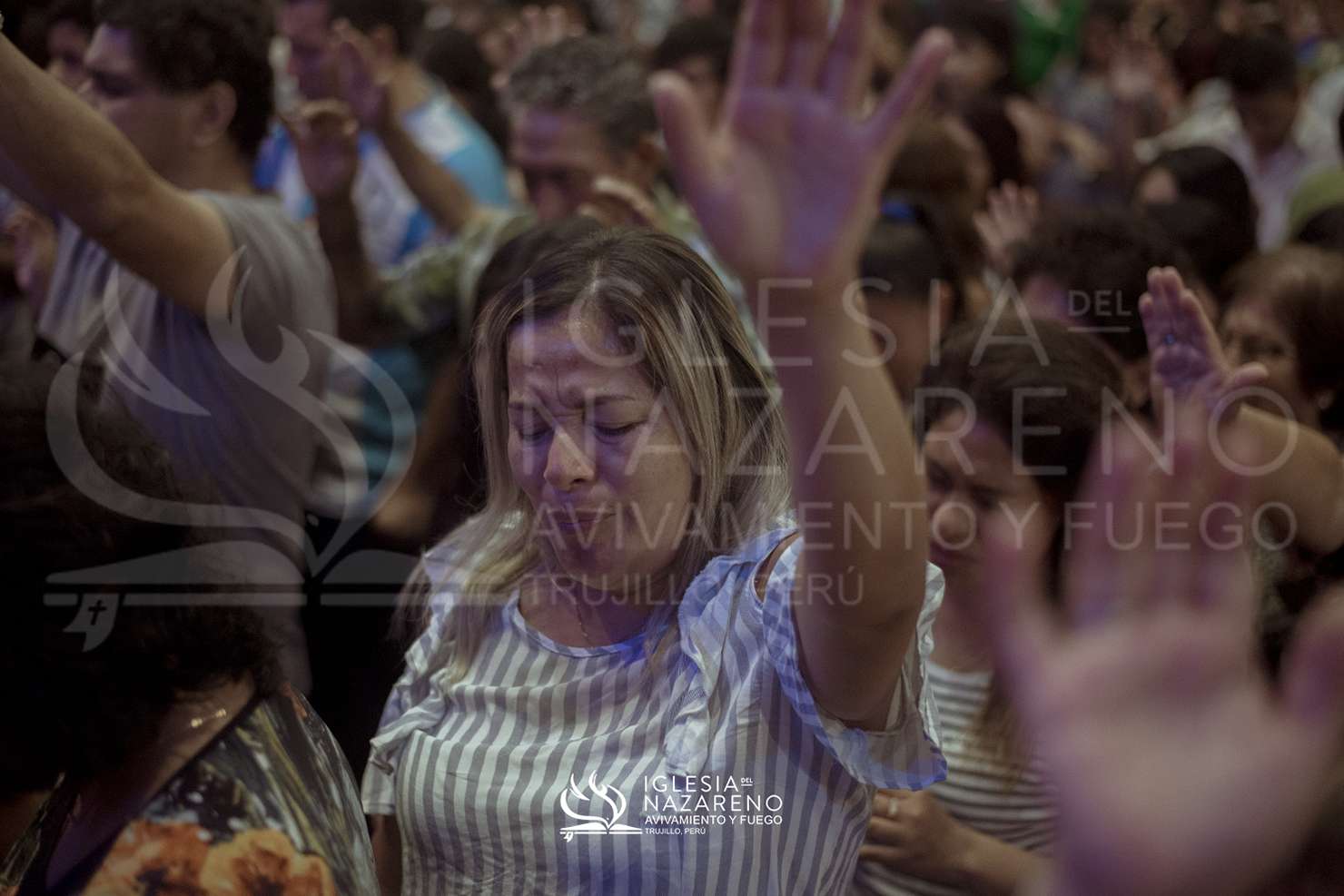 Noche de Milagros